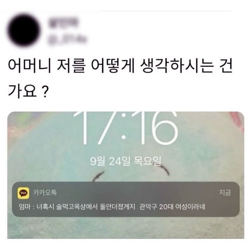 어머니 저를 어떻게 생각하시는 건가요?.jpg_1.jpg