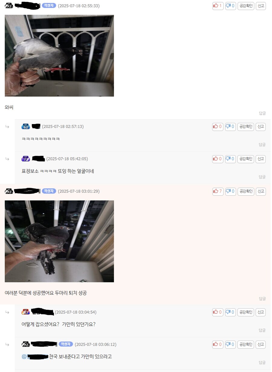 주거침입범 퇴치현장_9.png