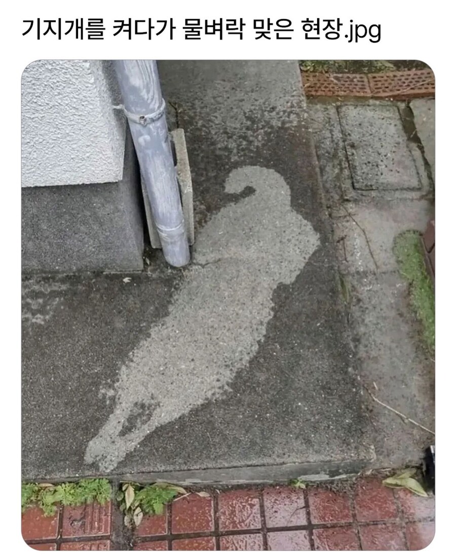 생생하게 남은 물벼락의 흔적_1.jpg