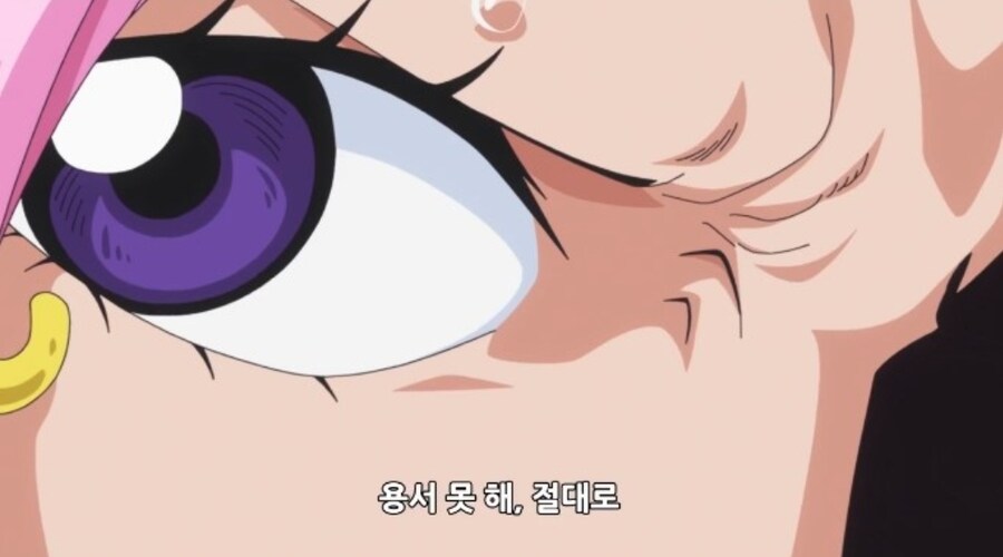 원피스)그걸 보면 모두가 그 마음을 이해하게 되는거_6.jpg