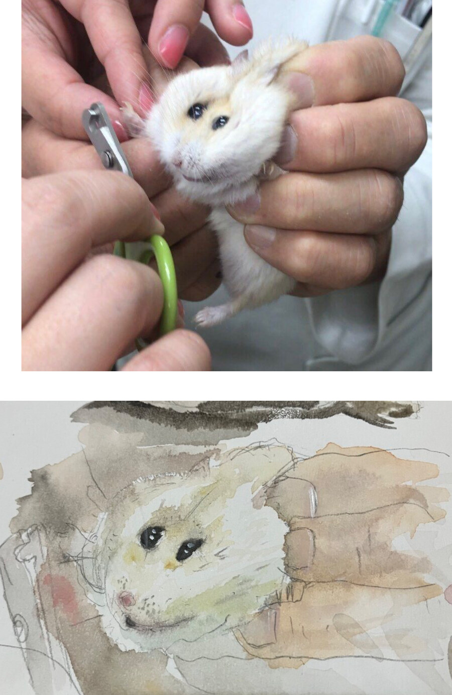극사실주의 동물 초상화