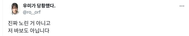 노린 듯한 젤다 플레이.mp4_1.png