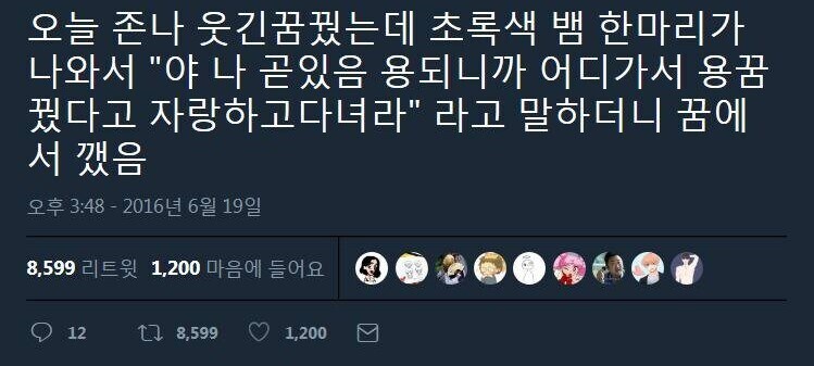 이건 용꿈이 맞나...?_1.jpg