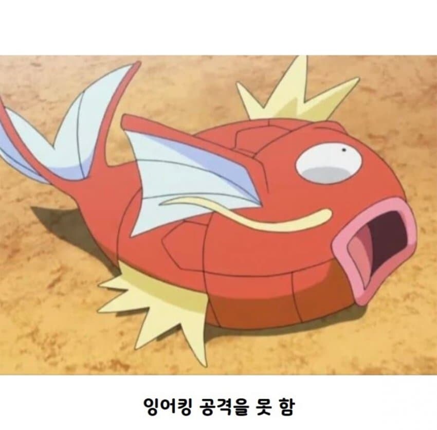 포켓몬 애니 최고의 대결 명장면_3.jpg