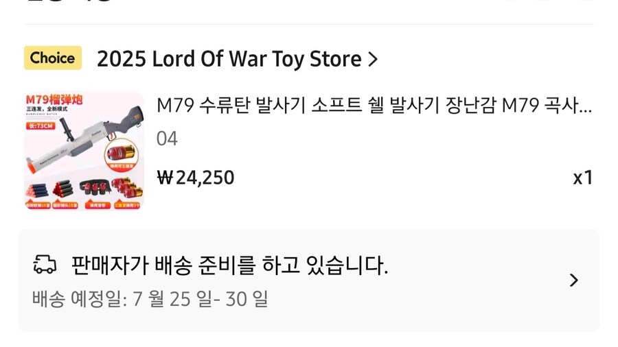 중국에서는 비비탄총이 불법이라던데 진짜인가?_1.jpg