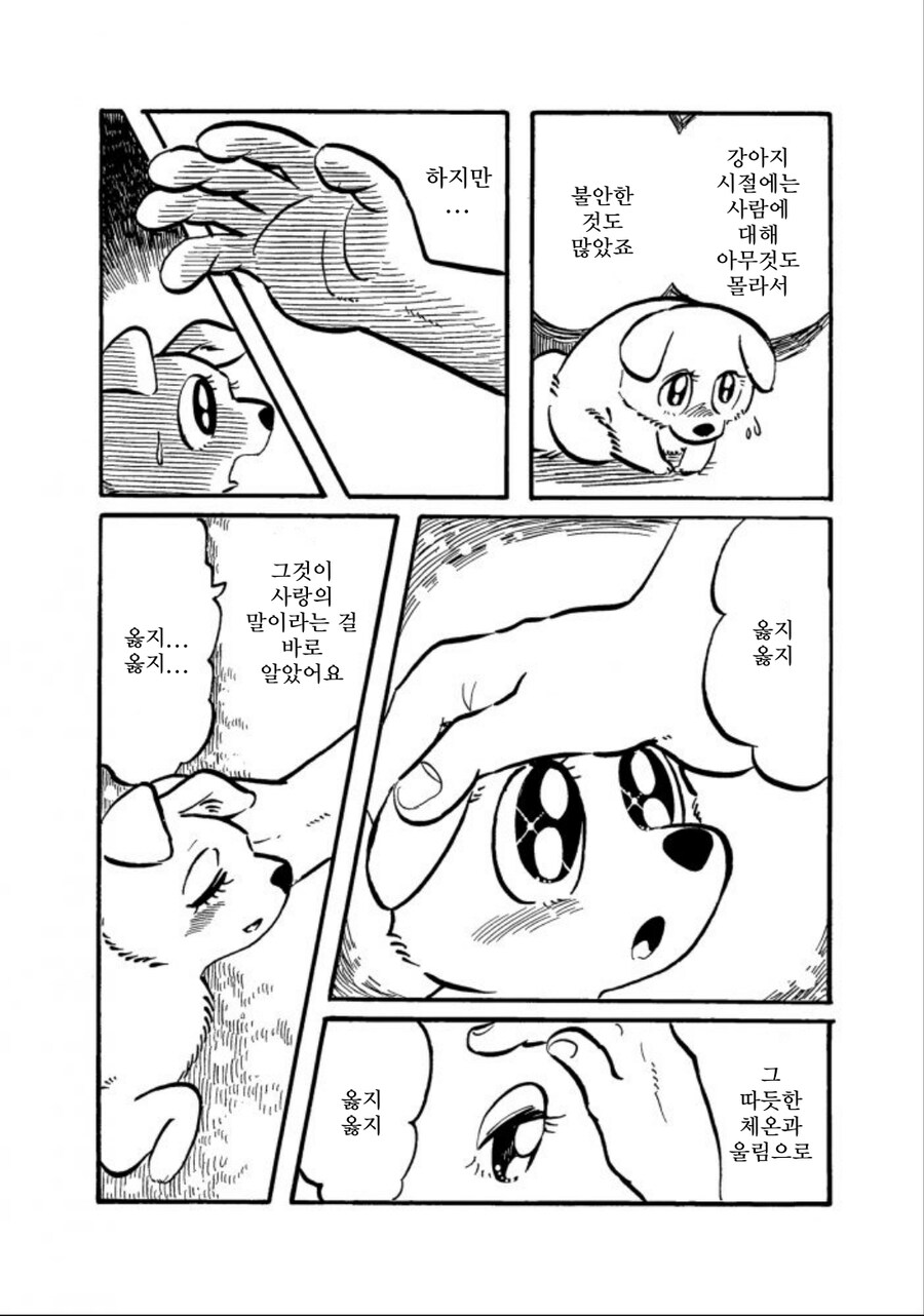 강아지가 고양이를 위로하는 만화_2.jpg