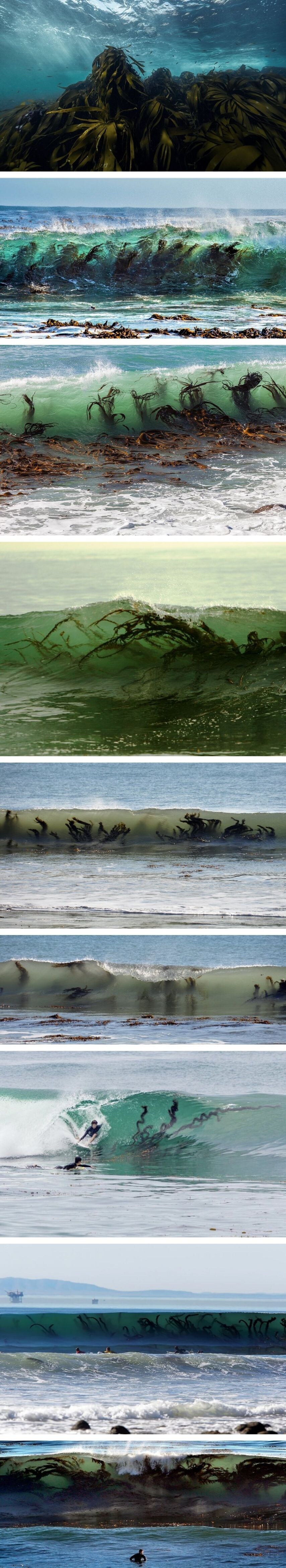 바다나 계곡에서 의외로 위험한거_1.jpg