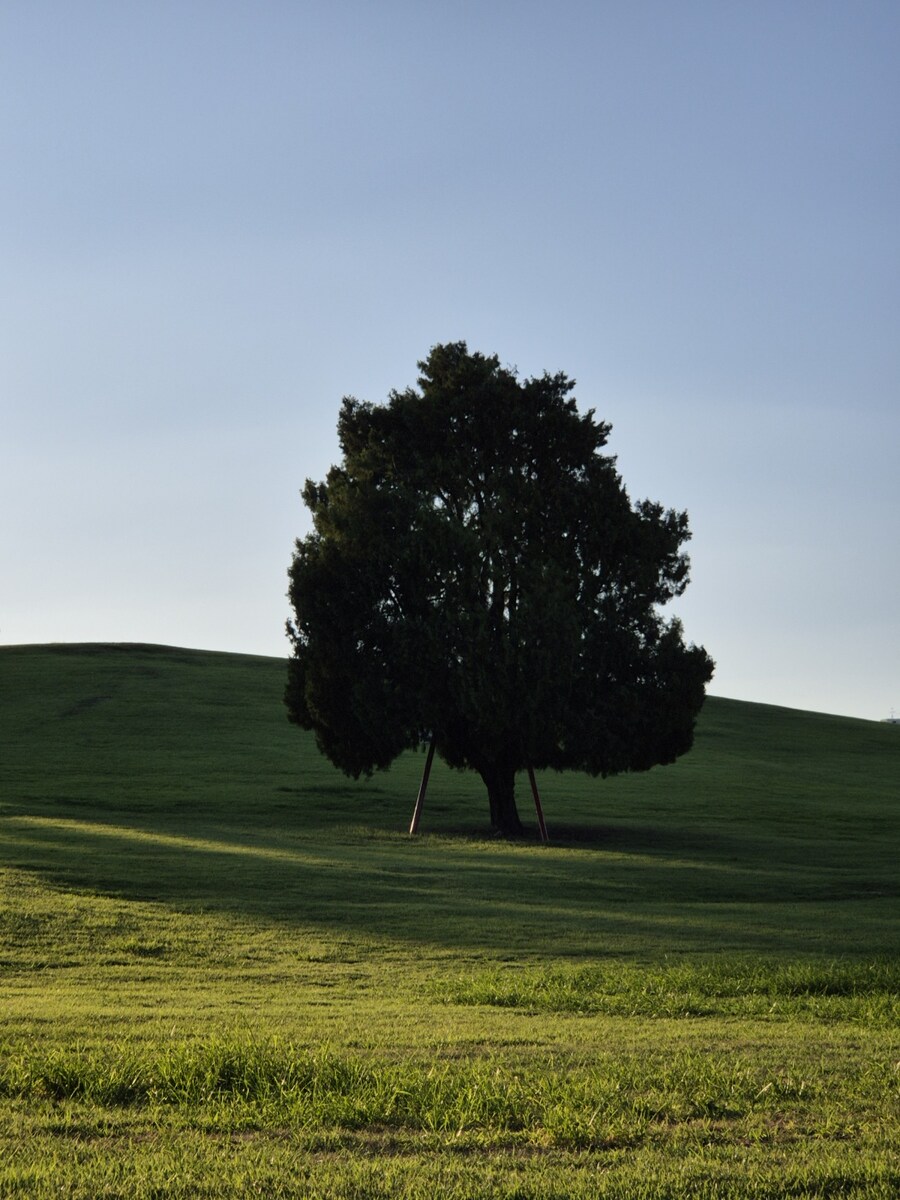 올림픽 공원 출사 (스압)_3.jpg