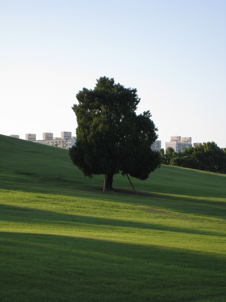 올림픽 공원 출사 (스압)_9.jpg