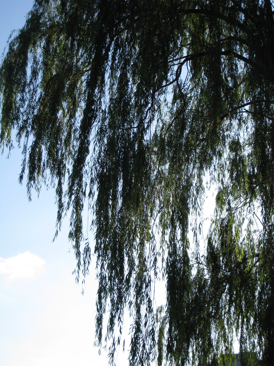 올림픽 공원 출사 (스압)_13.jpg