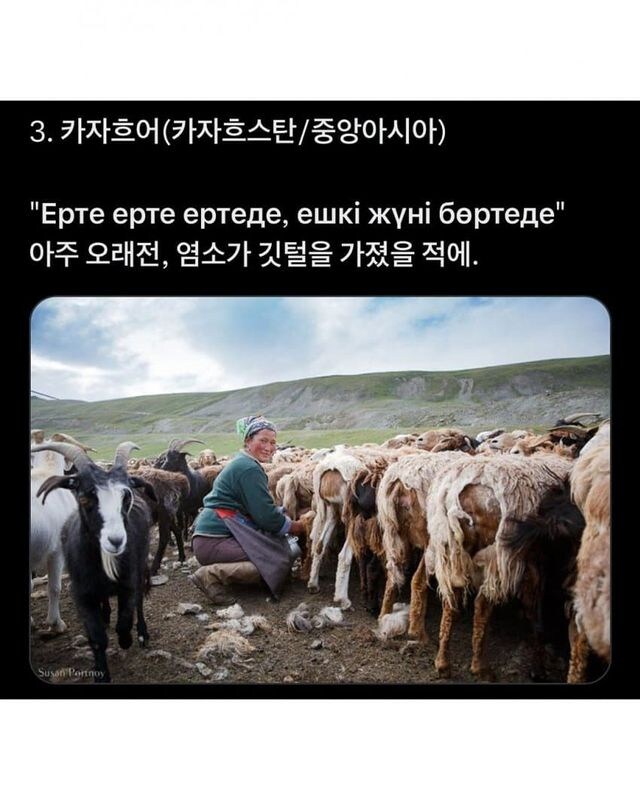 다른 나라의 " 호랑이가 담배피던 시절 " 표현_4.jpg