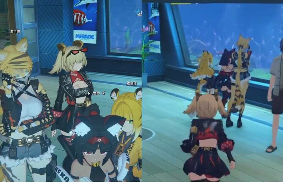 zzz) 물고기보러 수족관 온 고양이들_1.jpg