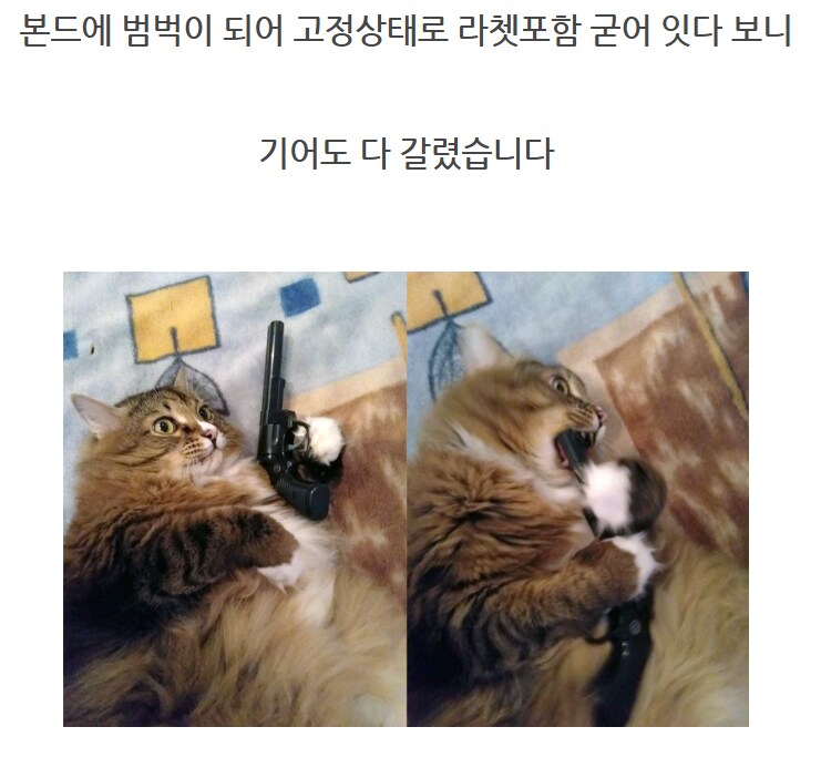 마징가의 합금이 부러졌다._21.png