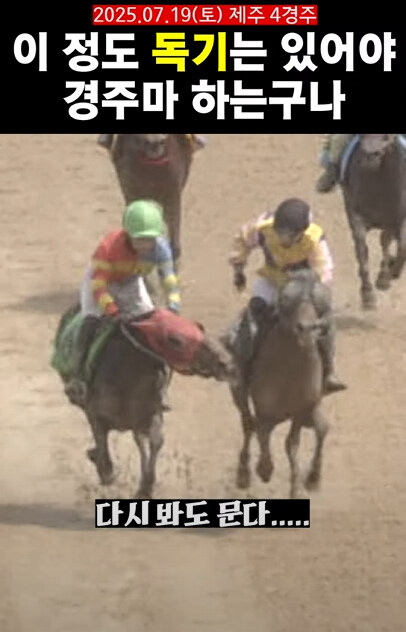 K-경마) 오늘자 제주마 경주 헤프닝._1.jpg