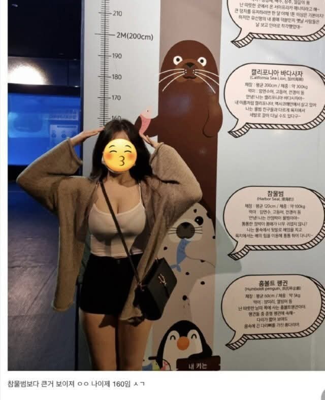 참물범 보다 큰, 키 160 처자_1.jpg