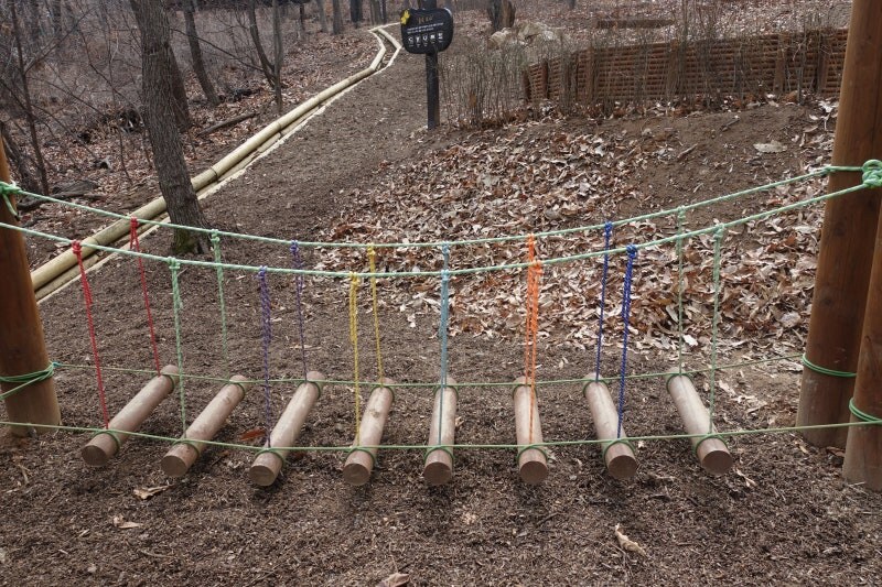 전국의 유아숲 체험 공원 근황.jpg_2.jpg