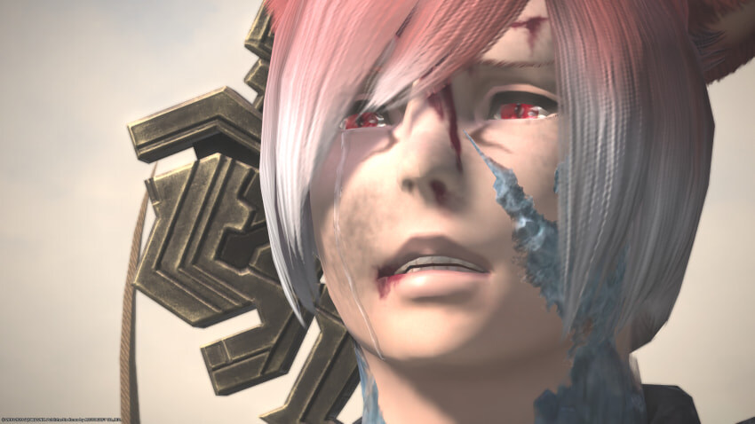 감동적이었던 어느 NPC(히로인)의 이야기_12.jpg