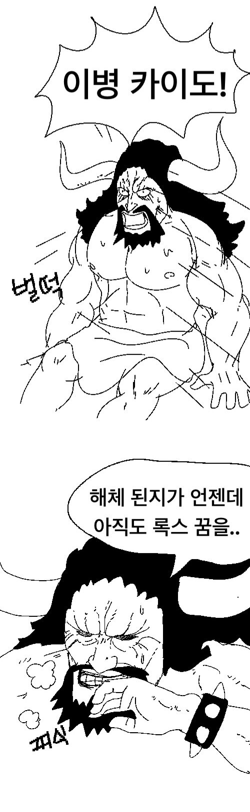 원피스 카이도의 해적단 막내생활 추측_2.jpg