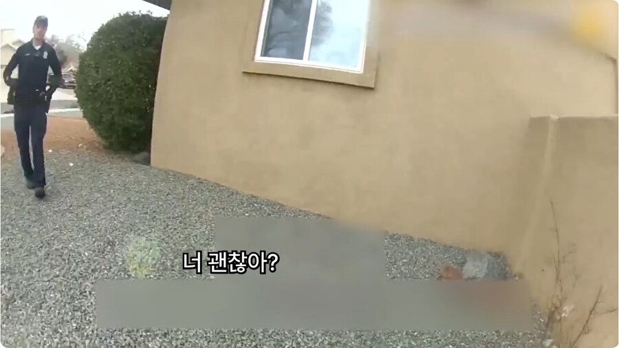 베글 경찰관 트라우마 다큐인데 뭔_10.jpg