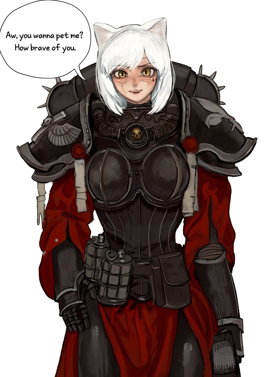 의외로 세계관 파괴가 아니라는 고양이 수녀님.JPG_2.jpg