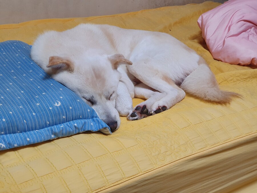 난 큰젖이니 작은젖이니 별로 관심없고_5.jpg