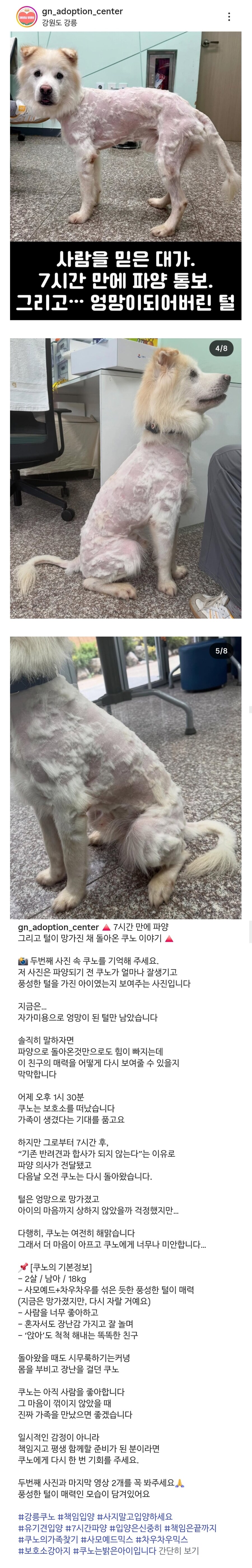 입양간지 7시간 만에 파양되어 보호소로 돌아온 강아지_1.jpg