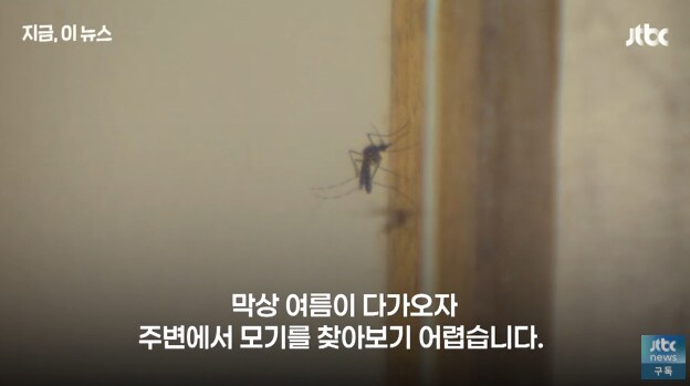 모기가 없다니 대체 어딘데_1.png