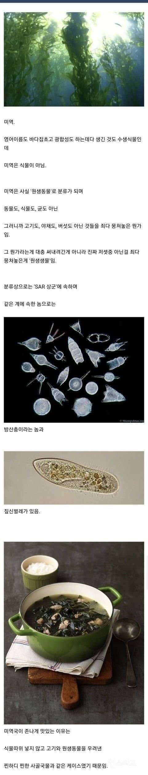 미역국이 존나 맛있는이유_1.jpg