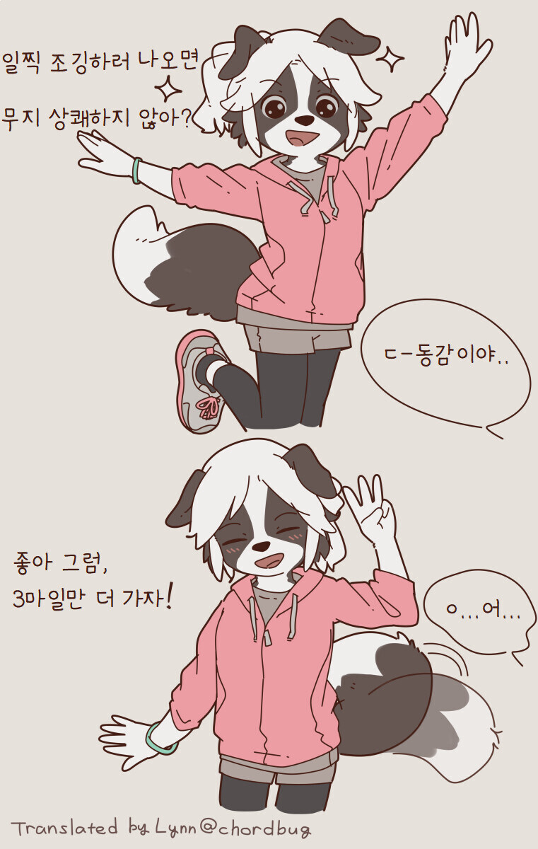 베글에 댕댕이가 가득하다면..._11.jpg