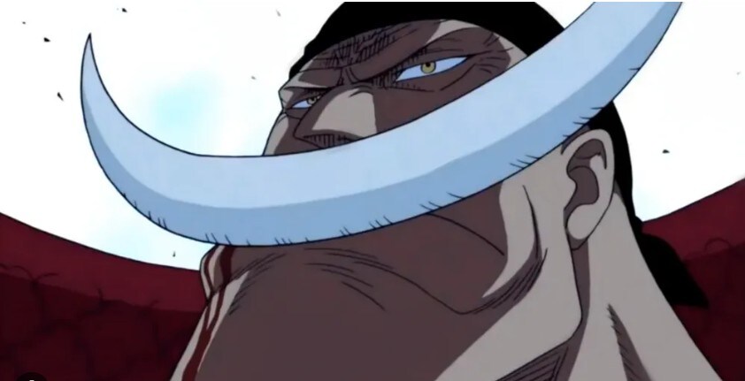 흰수염: 뭐?! 티치 녀석이 삿치 를 죽이고 도주했다고?!!!!_1.jpg