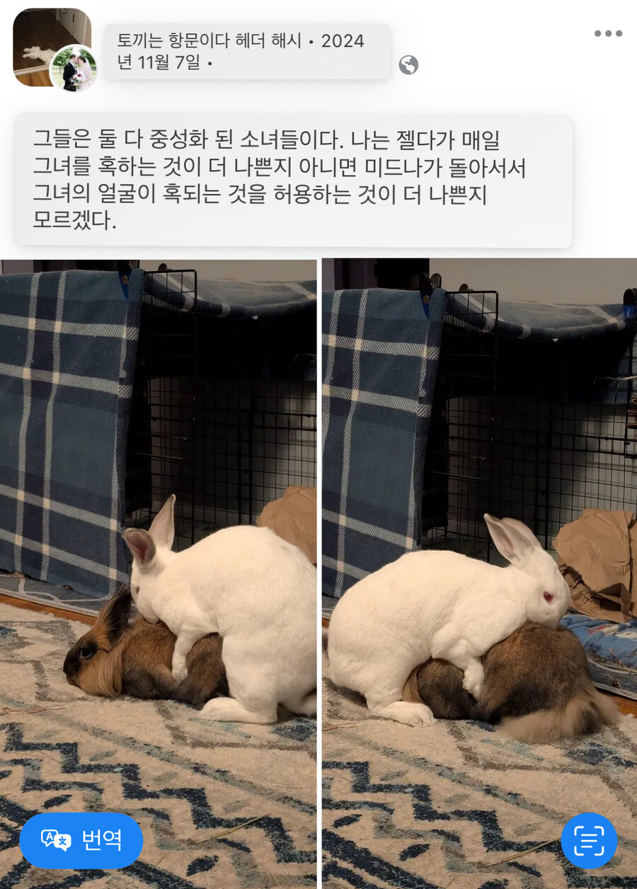 농밀한 레즈섹 스_1.jpg
