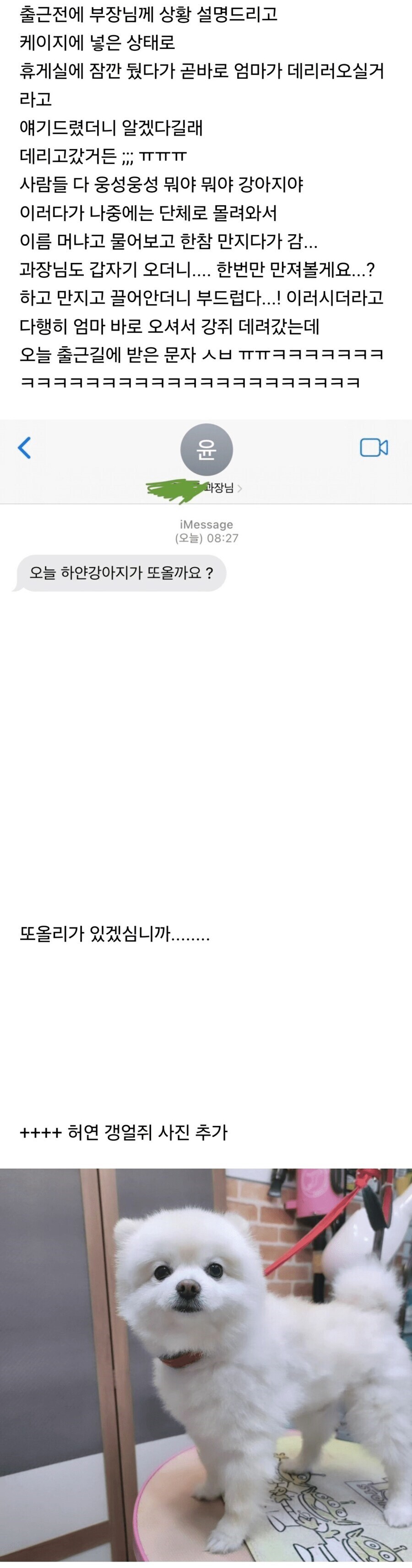 회사에 강아지 데려간 썰_1.jpg