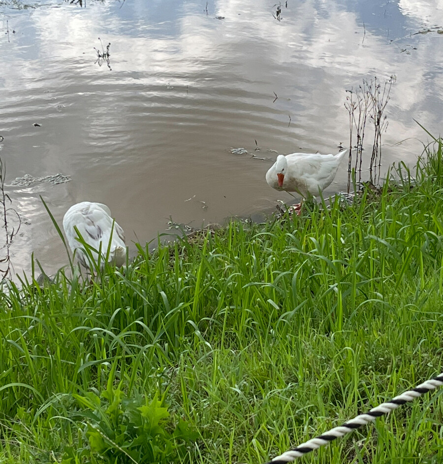 전남도청에 숨겨진 비밀_4.jpg