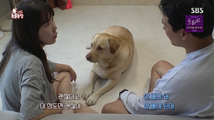 자기개 비만 아니라고 우기는 여주인..._7.png