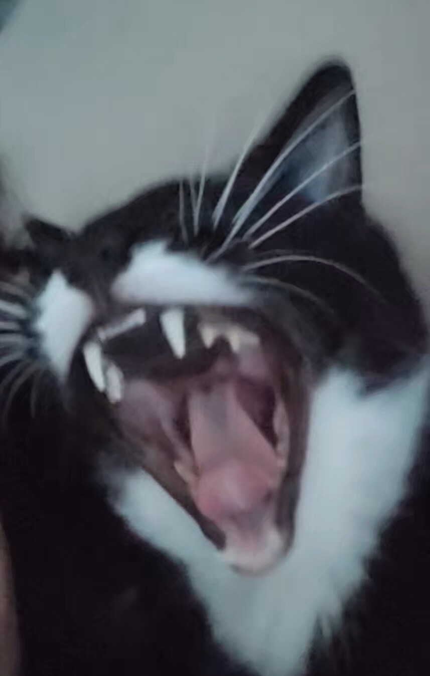 집 코앞에 gs가 있지만..._1.png