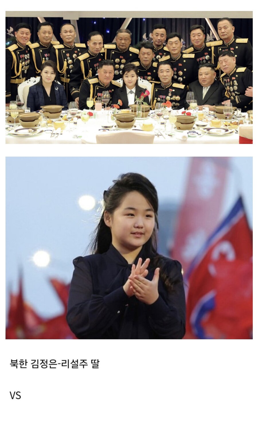 북한에서 김정은 딸로 태어나기 vs 일본에서 추성훈 딸로 태어나기 비교하면.jpg_1.jpg