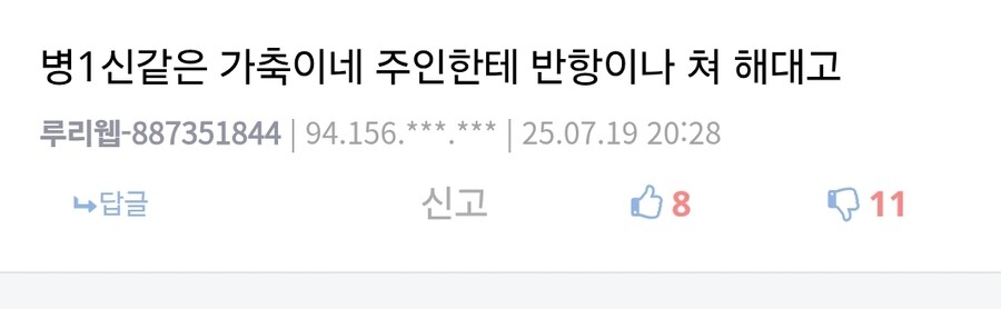 고양이 혐짤빌런은 사실 관리자 애착인형이 아닐까?_2.jpg
