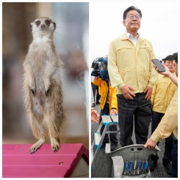 우리 잼파파도 재난현장 방문 잘한다._1.jpg