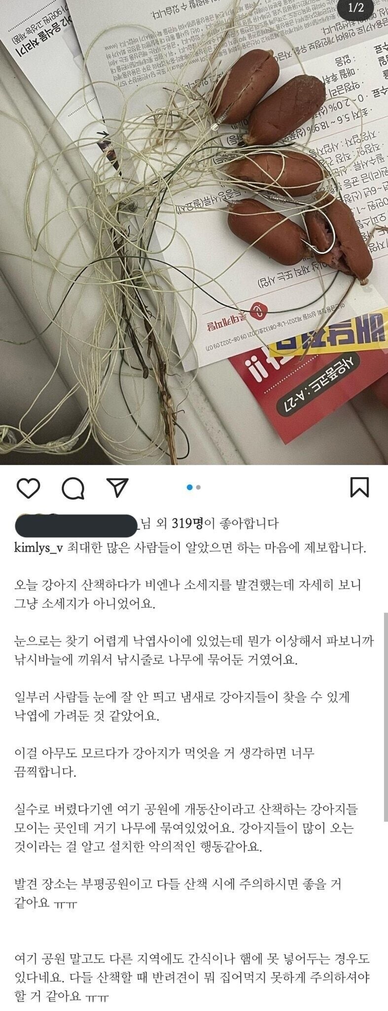 공원에서 발견된 수상한 소세지_1.jpg