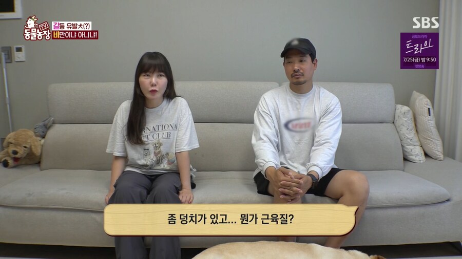 반려견 돼지 만들어 놓고 비만 아니라고 우기는 여자_7.png