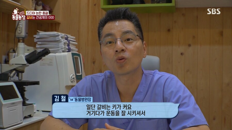 반려견 돼지 만들어 놓고 비만 아니라고 우기는 여자_11.png
