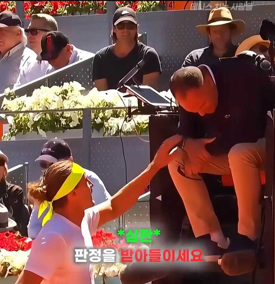 기계심판을 너무 맹신하면 안되는 이유_10.jpg