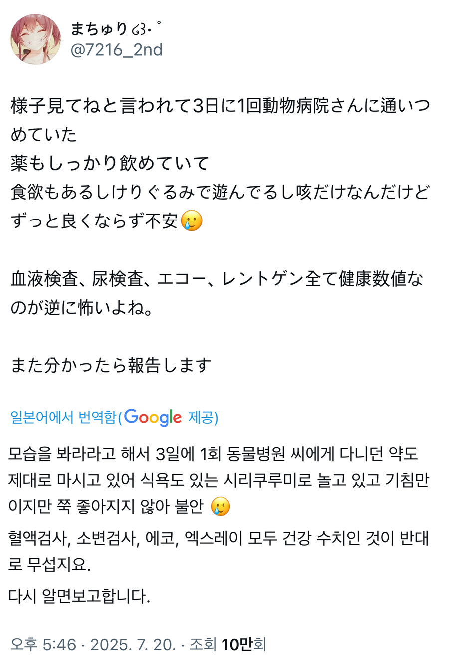 버튜버) 목숨이가 걱정인 마츠리_2.jpg