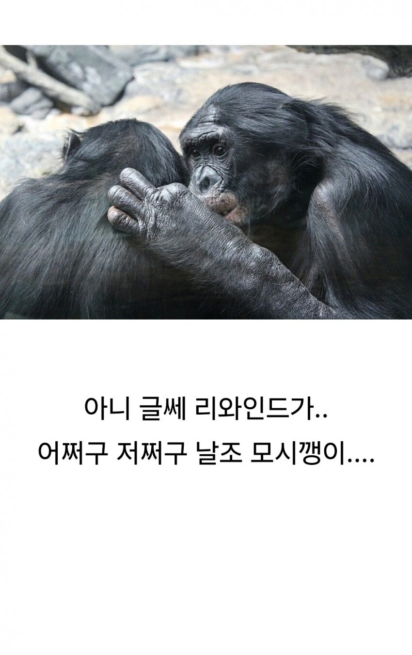 ㅇㅇㄱ) 오늘도 사이버불링중인 왁물원...JPG_2.png