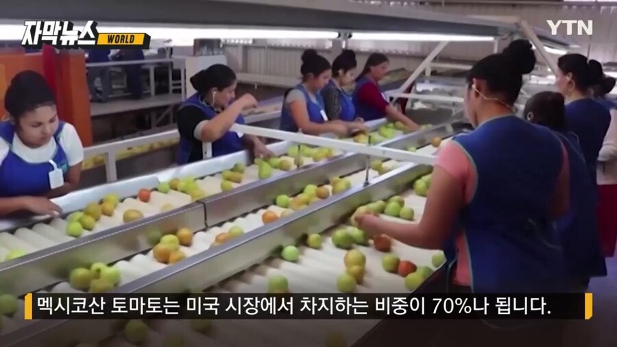 곧 햄버거 가격도 정상화 시켜준다는 갓럼프 근황_2.jpg