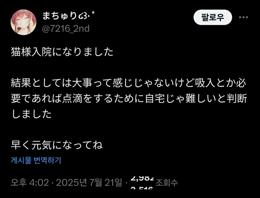 버튜버)마츠리네 고양이 검사결과_1.jpg