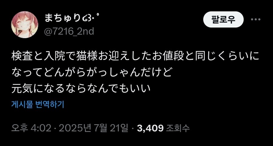 버튜버)마츠리네 고양이 검사결과_2.jpg