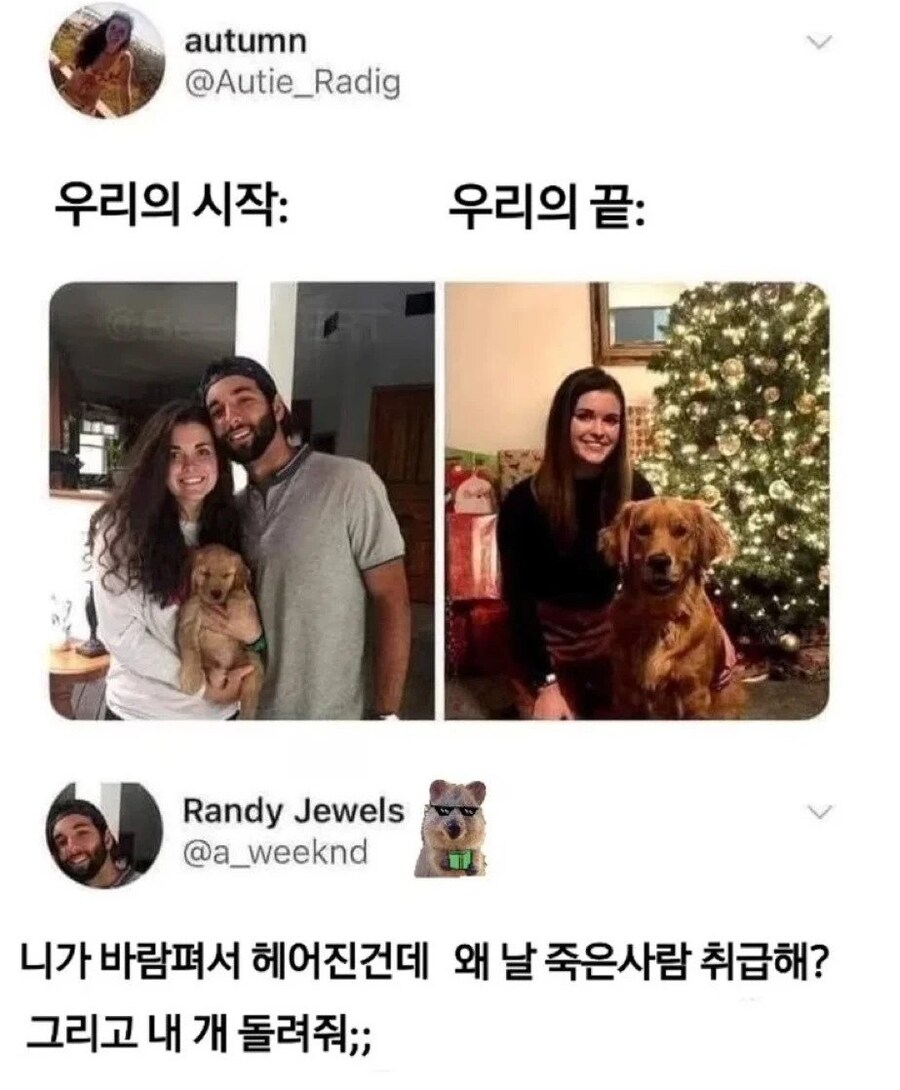 여친도 잃고 개도 뺏김_1.jpg