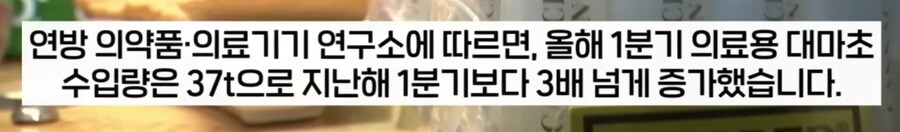 대마초 합법화한 독일 근황._12.png