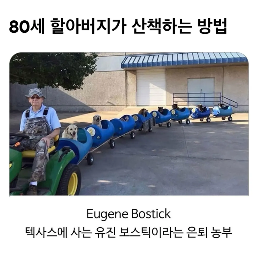 80세 할아버지가 산책하는법_1.webp